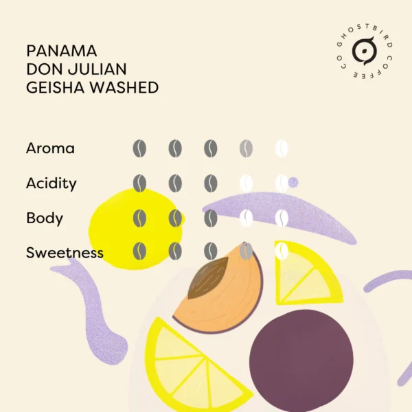 panamadonjuliangeishawashed_2_1024x1024 Panama Don Julian Geisha Washed